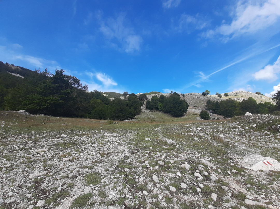 Monte Godi景点图片