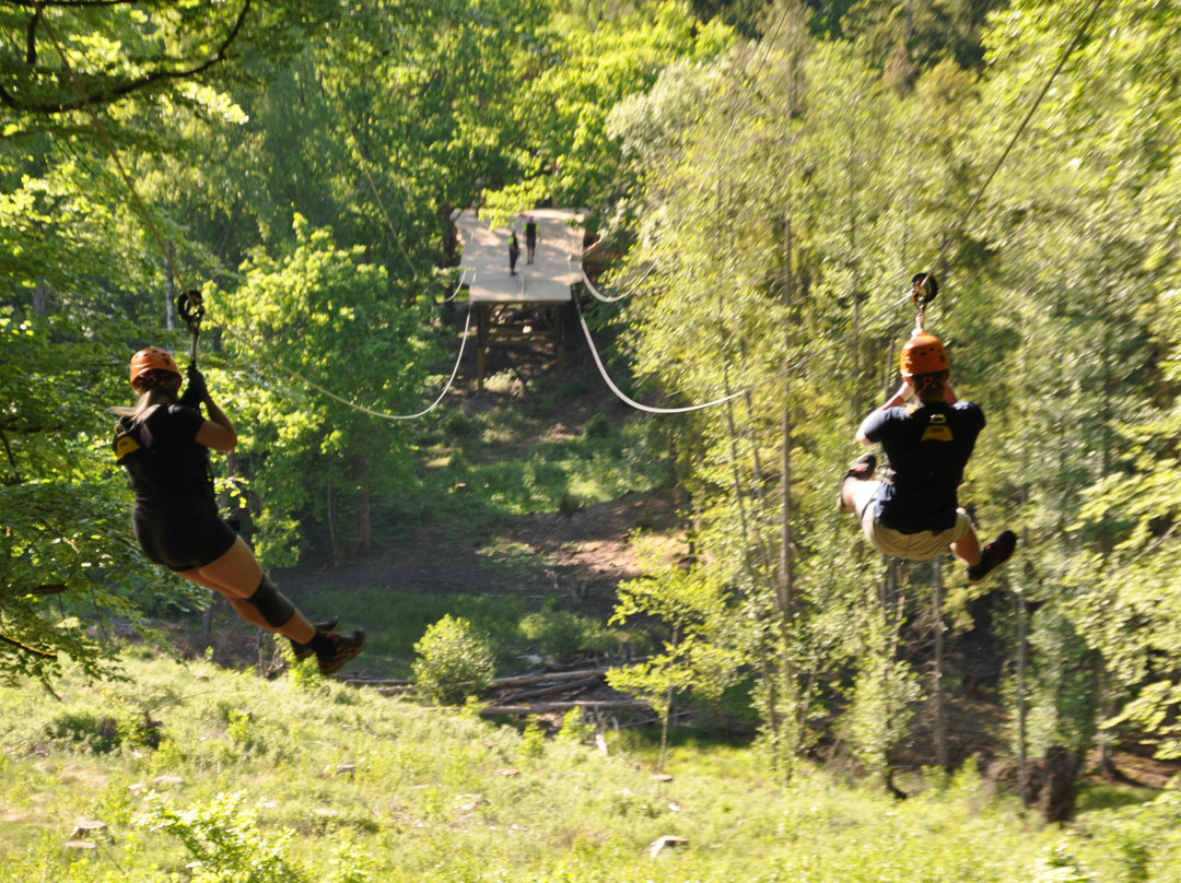Multilevel Ziplines & Klätterpark景点图片