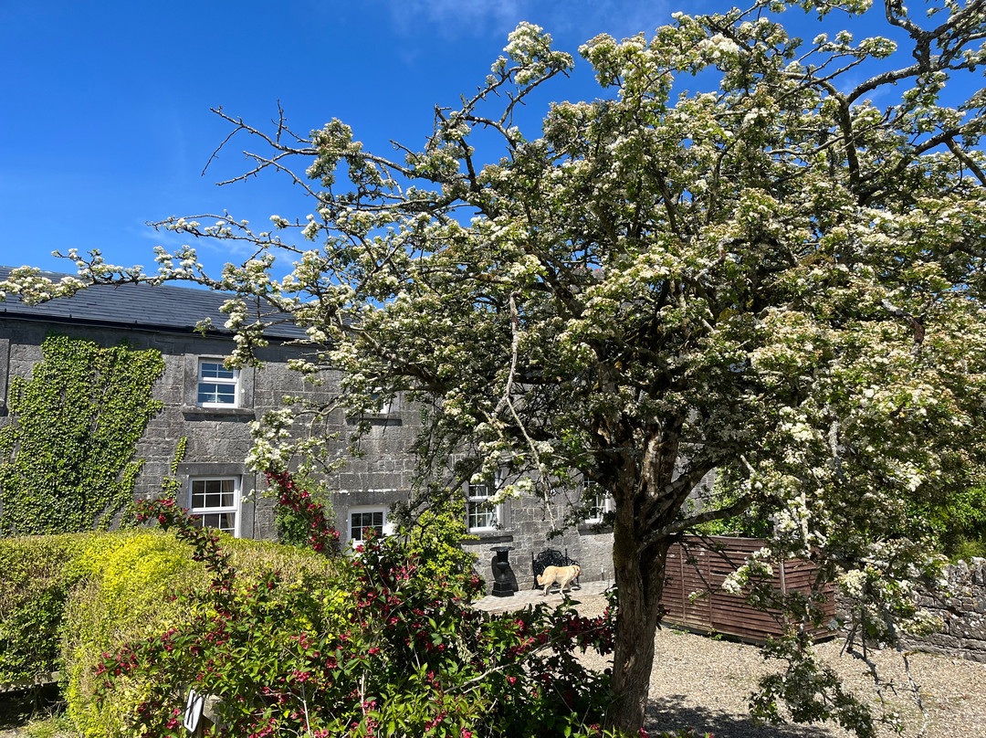 Kiltanon Court