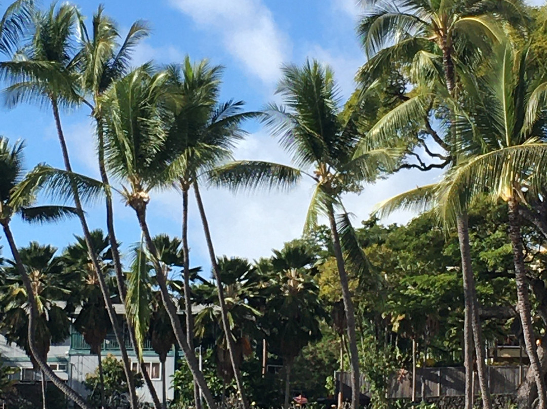 Kamehameha III Birthplace-Kahaluu-Keauhou必去景点