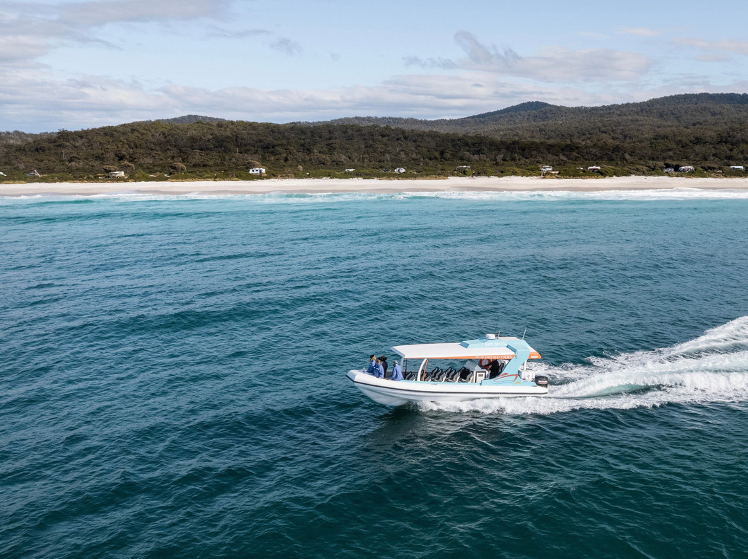 Bay of Fires Eco Tours景点图片