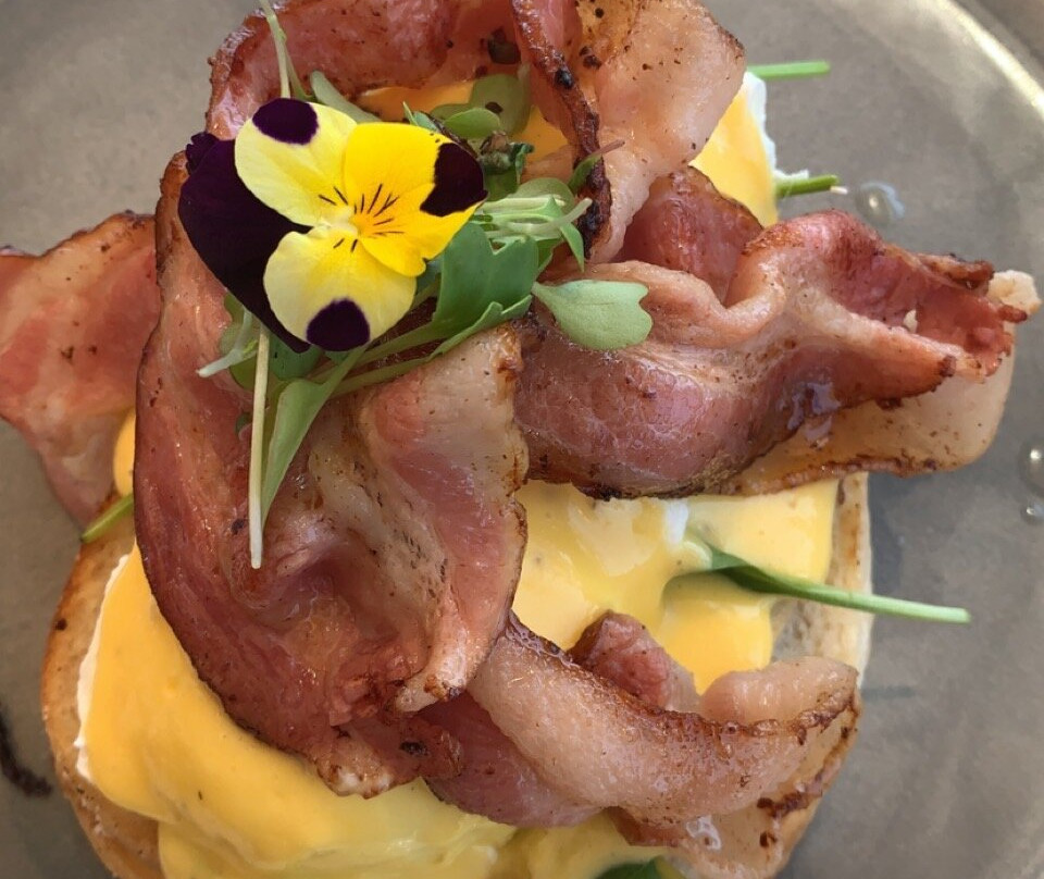 Skip to main content CORO CLUB