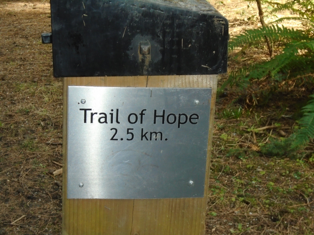 Central Park-本那比必去景点