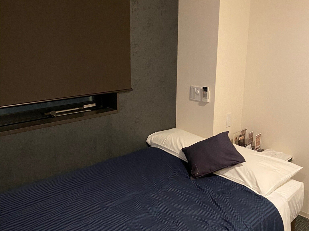 Hotel Livemax Tokyo Shin Tomicho主图
