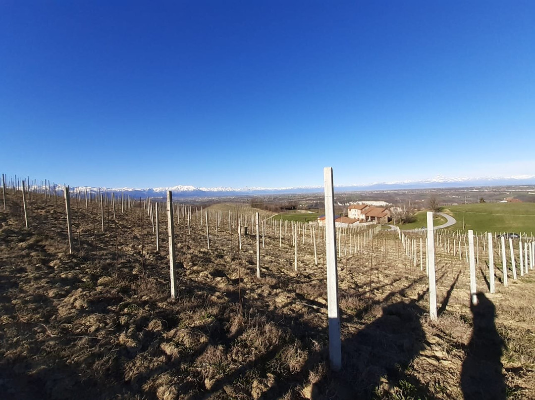 Azienda Agricola Bricco del Cucù景点图片