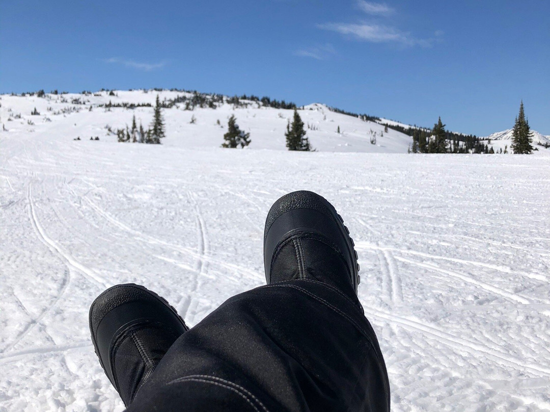 Travelers Snowmobile Rentals-西黄石镇必去景点