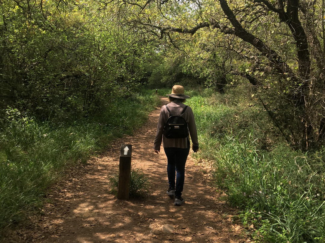 Alonei Yitzhak Nature Reserve景点图片