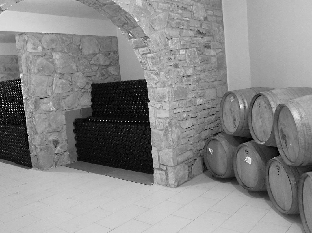 Tsangarides Winery-帕福斯必去景点