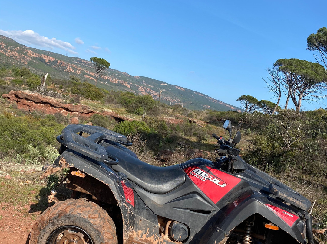 Château des Demoiselles-La Motte必去景点