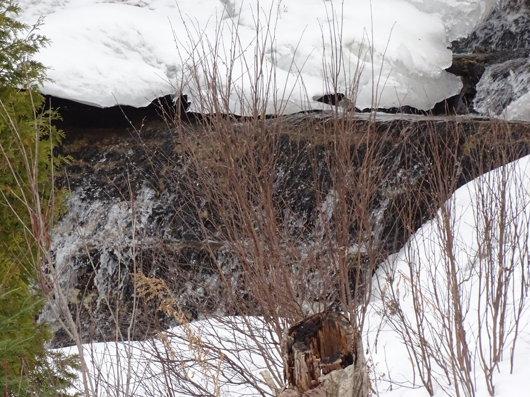 Alger Falls-缪尼辛必去景点