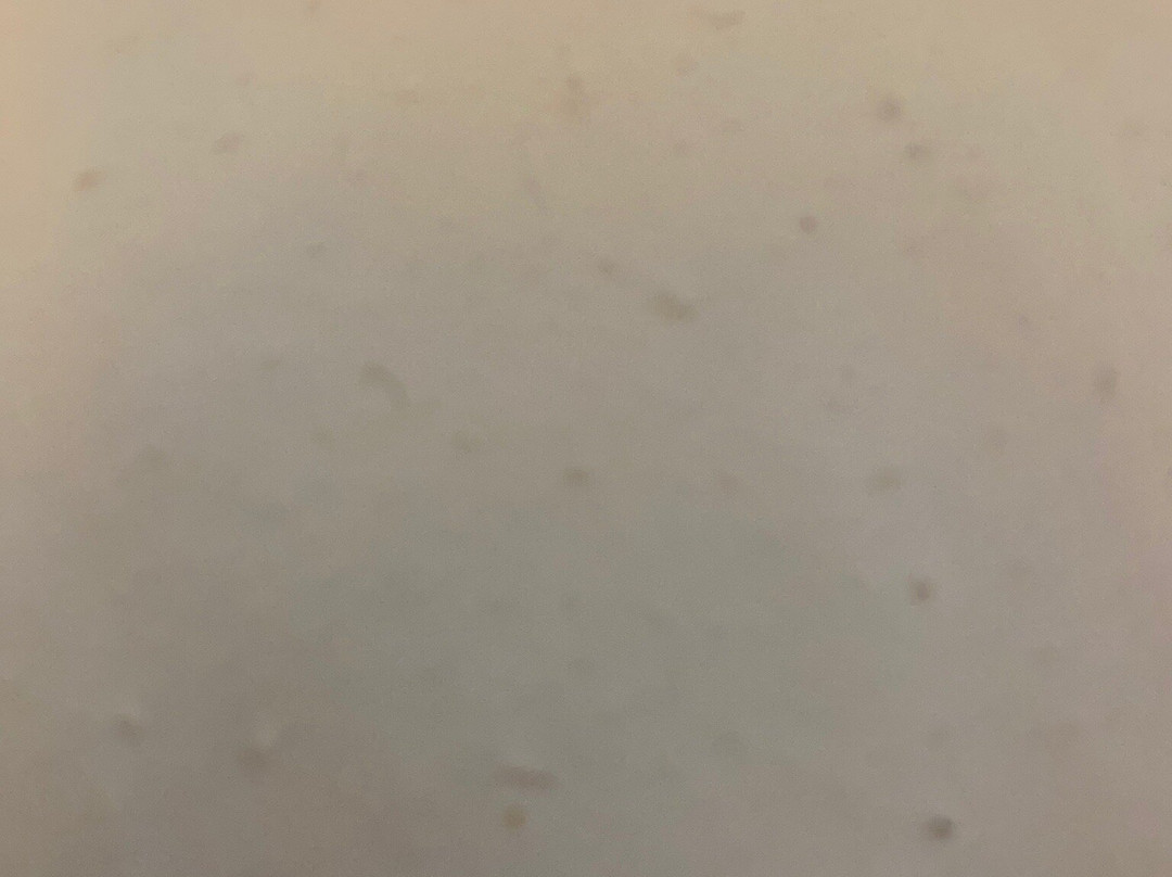 Hawthorn Suites by Wyndham St Clairsville主图