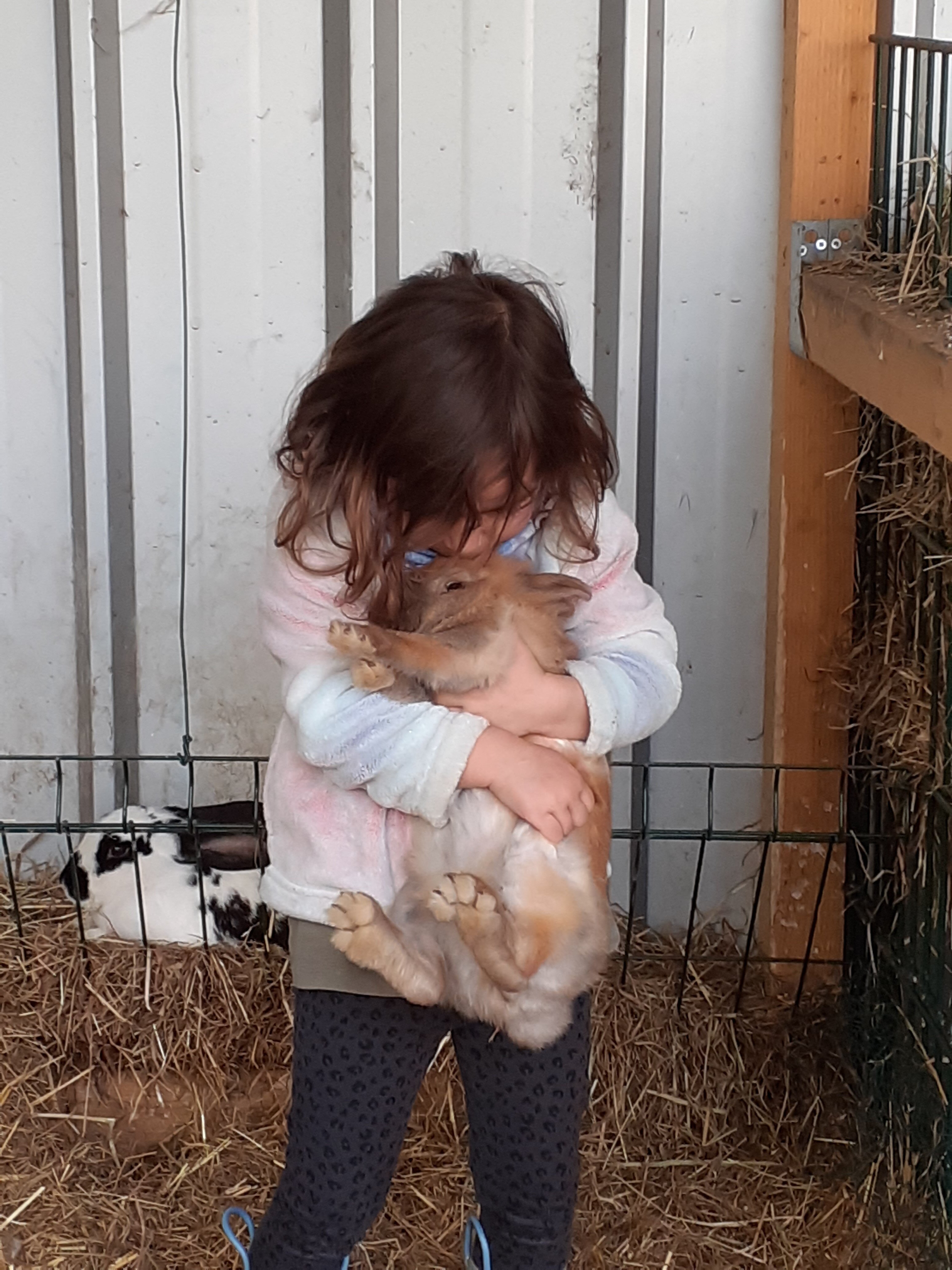La Ferme des Logis-官方