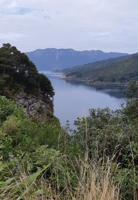 Lake Waikaremoana Great Walk景点图片