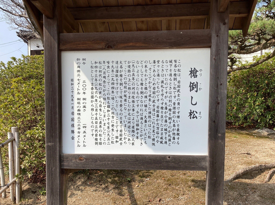 Yari Daoshi Matsu景点图片
