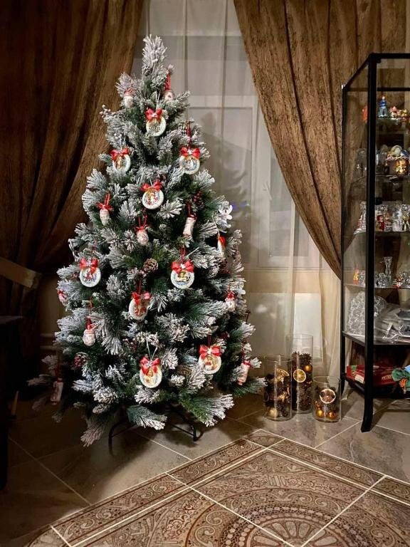 Spasskaya Gorka主图