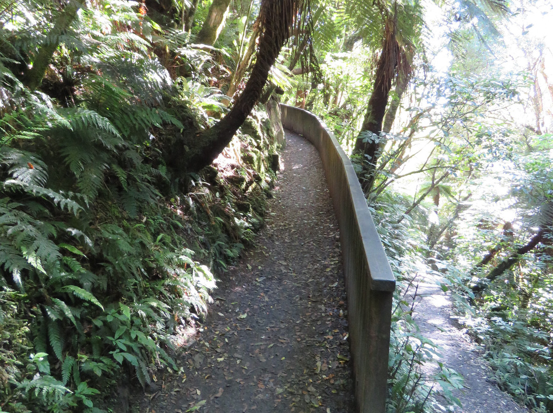 Purakaunui Falls景点图片