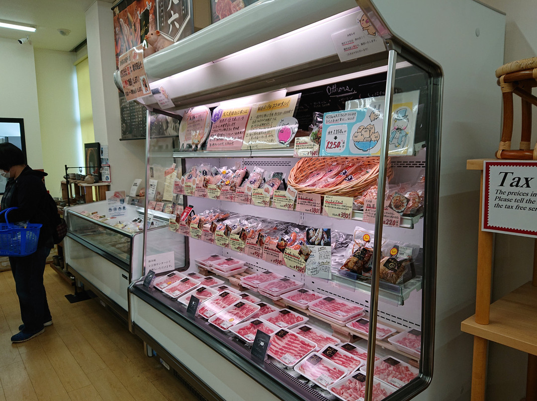 Michi-no-Eki Tahara Mekkun House-田原市必去景点