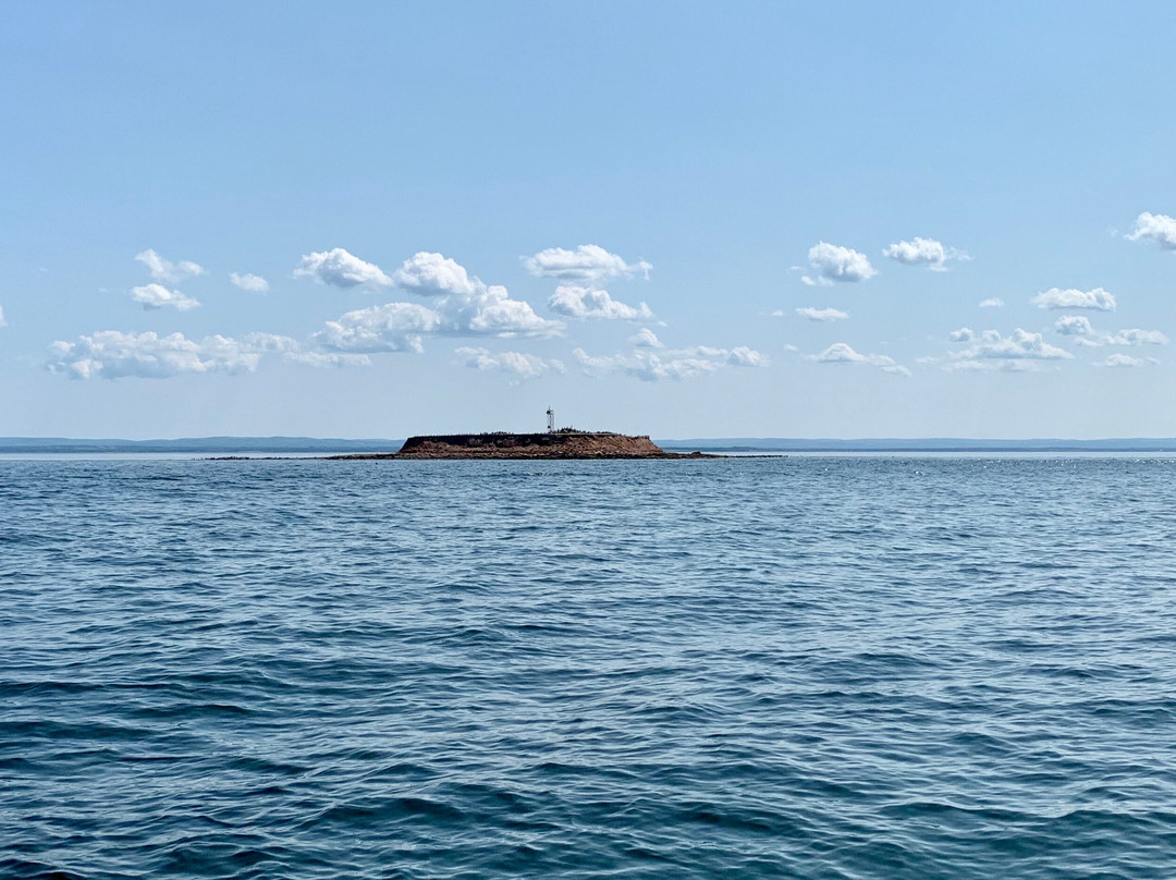 Rudderstick Boat tours-Tatamagouche必去景点
