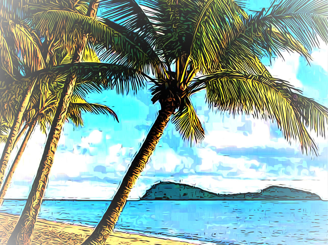 Pedro's Hire & Tours-凯恩斯必去景点