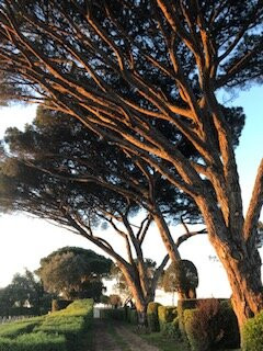 Château Chasse-Spleen景点图片