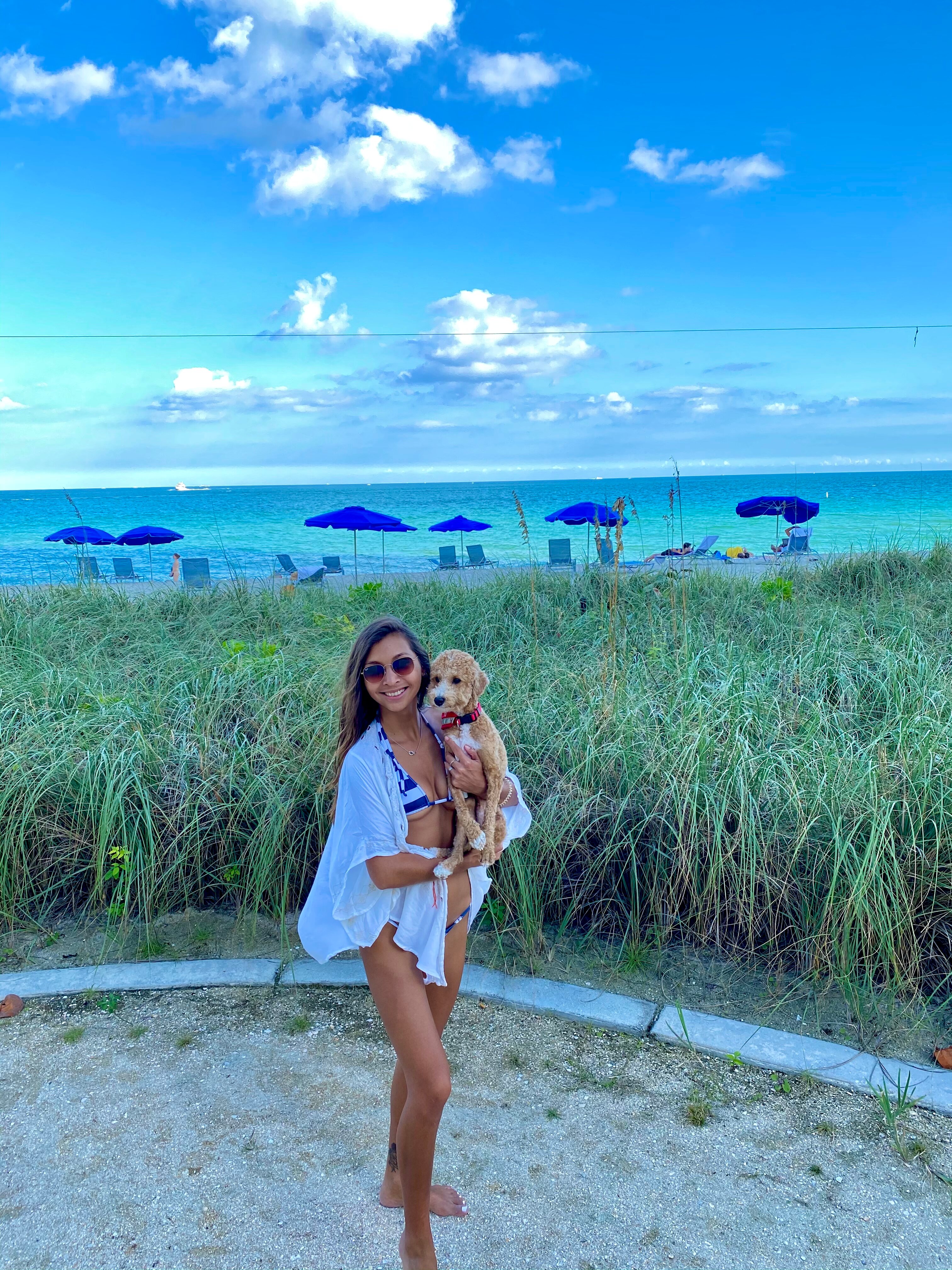 The Ritz - Carlton Bal Harbour, Miami-泳池