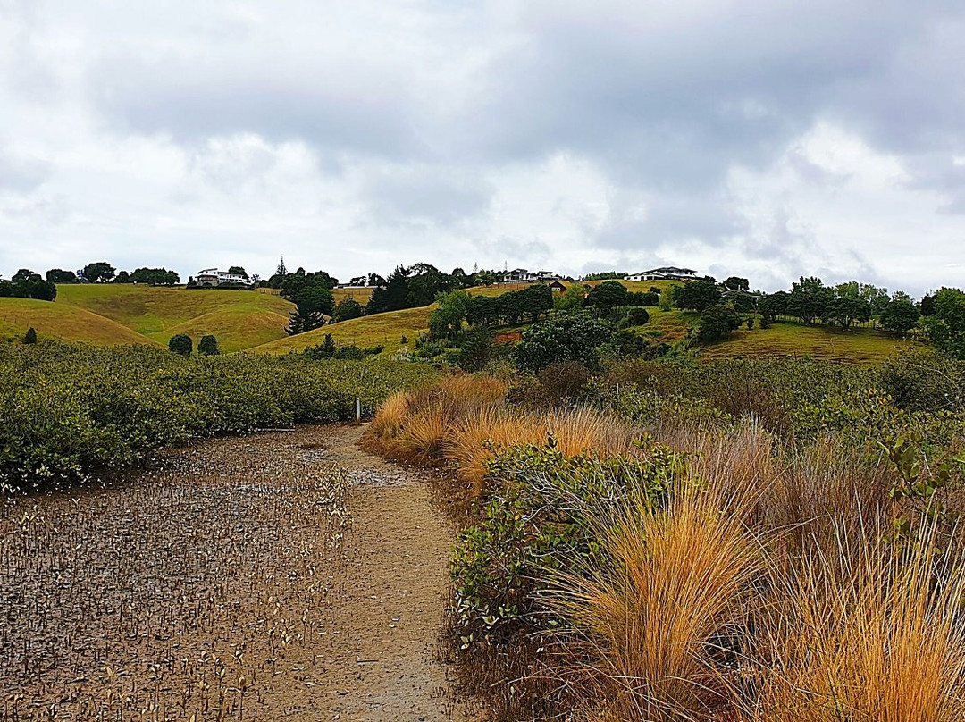 Motukiore Island-Whangarei Heads必去景点
