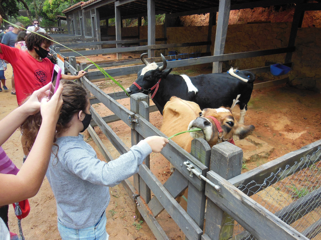 Hotel Fazenda Caluje主图