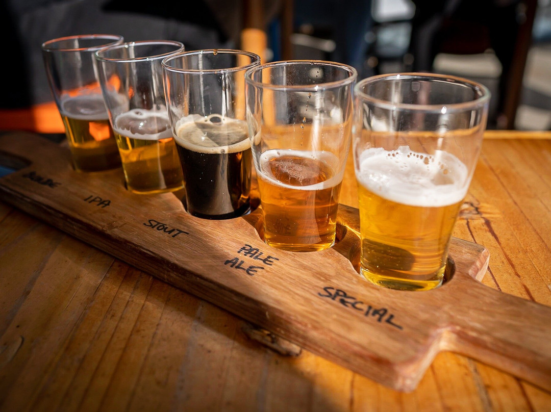 Victorian Bus Charters-墨尔本必去景点