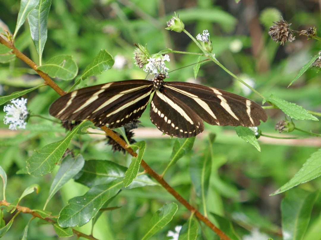 Horton Pond-吉柯岛必去景点