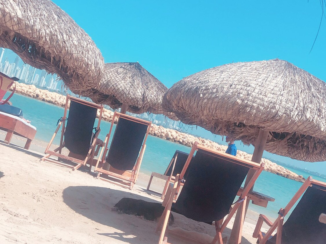 Albitours Cartagena-卡塔赫纳必去景点