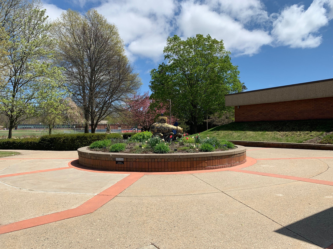 Groton Public Library-格罗顿必去景点