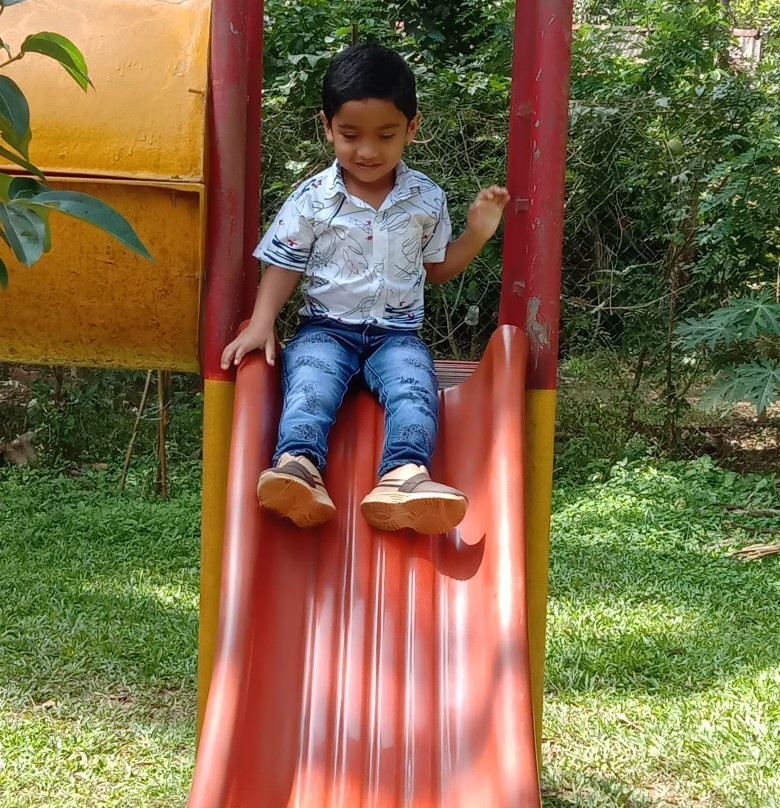Thekkady Rose Park景点图片