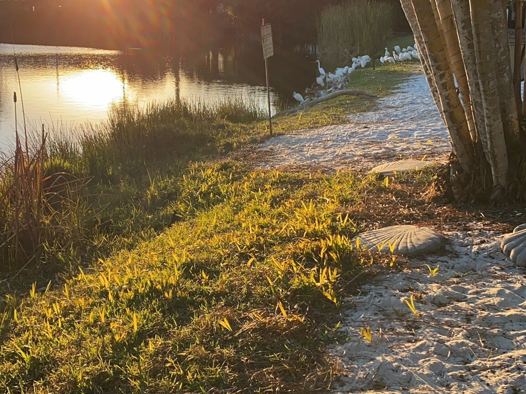 Marco Island Lakeside Inn主图