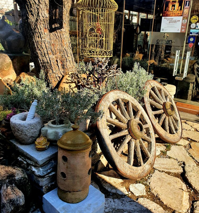 Ormana Active Dogan Boutique Hotel主图