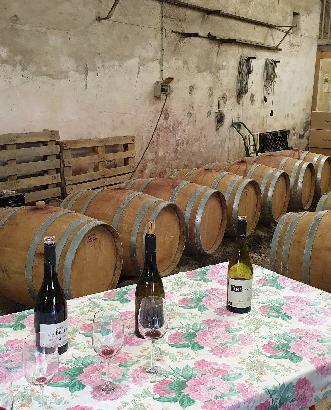 Domaine Du Boiron景点图片
