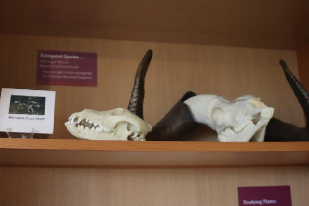 萨格鲁国家公园-图森必去景点