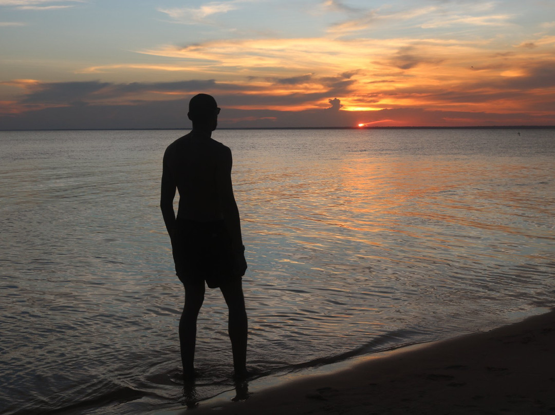 Cururu's Point-Alter do Chao必去景点