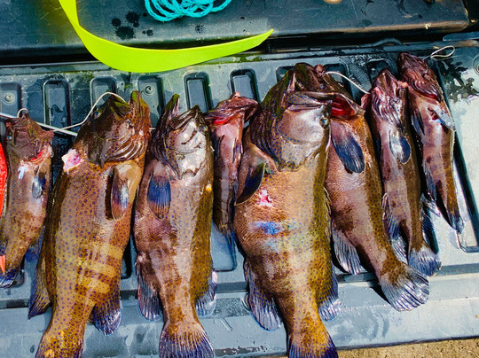 Maui Spearfishing Academy-拉海纳必去景点