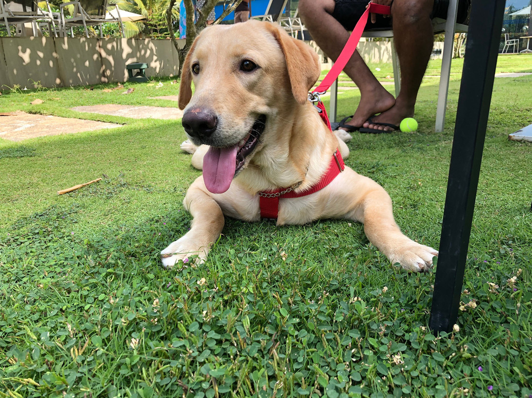 Club Waskaduwa Beach Resort & Spa主图