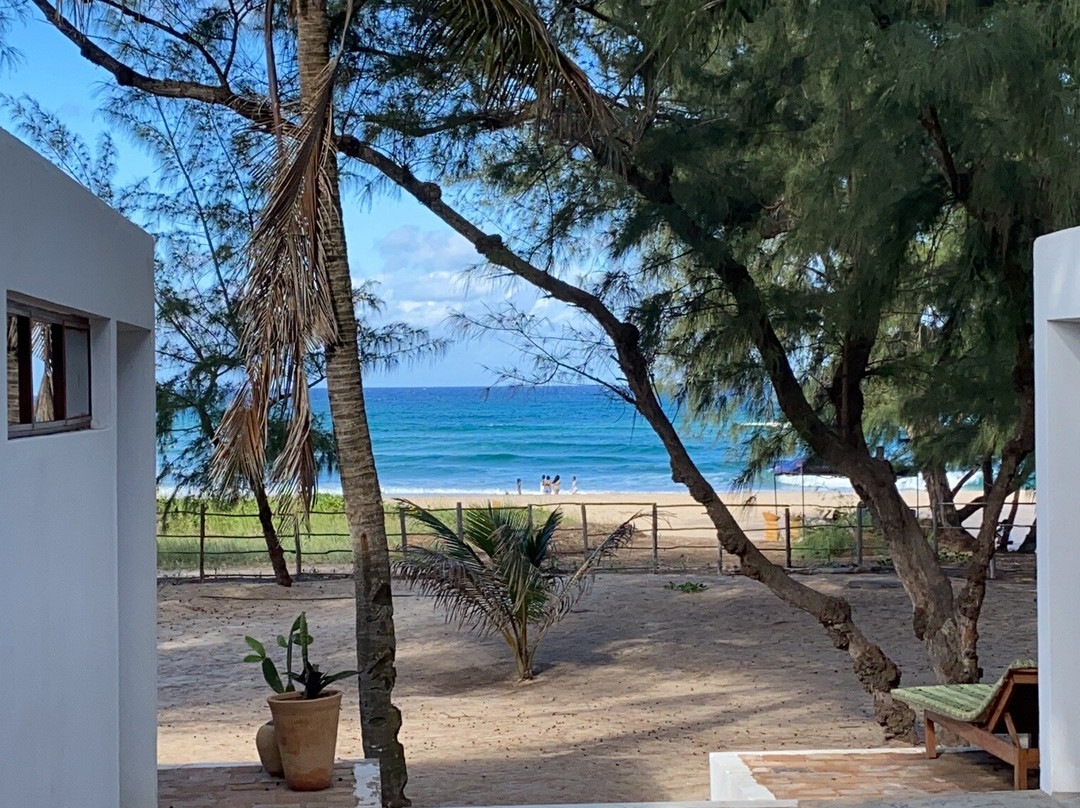 Liquid Dive Adventures-托佛必去景点