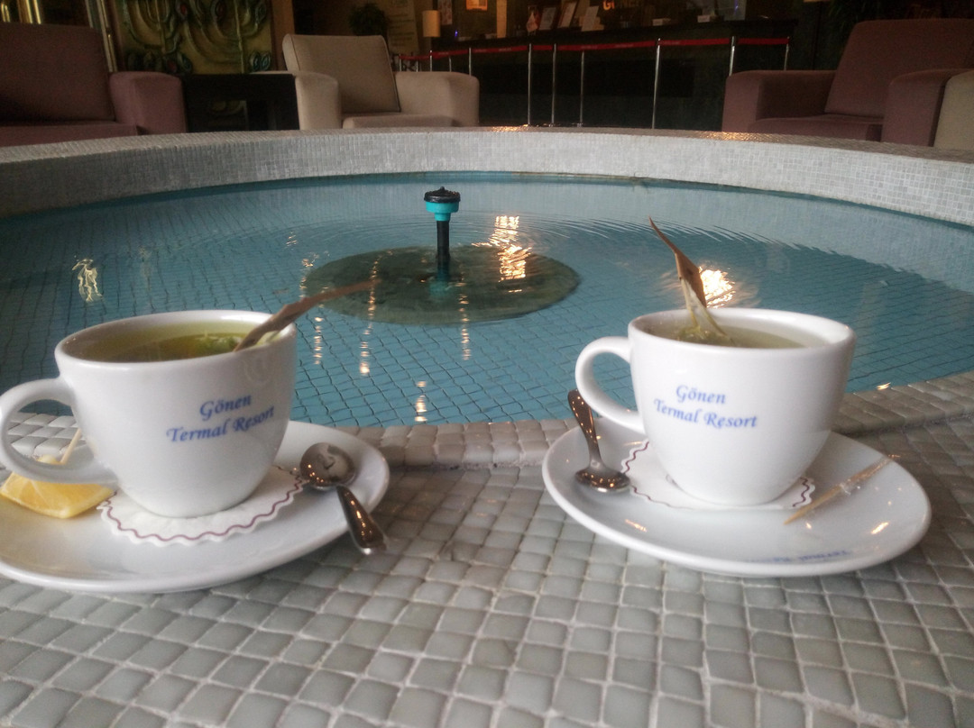 Gonen Termal Yildiz Hotel主图