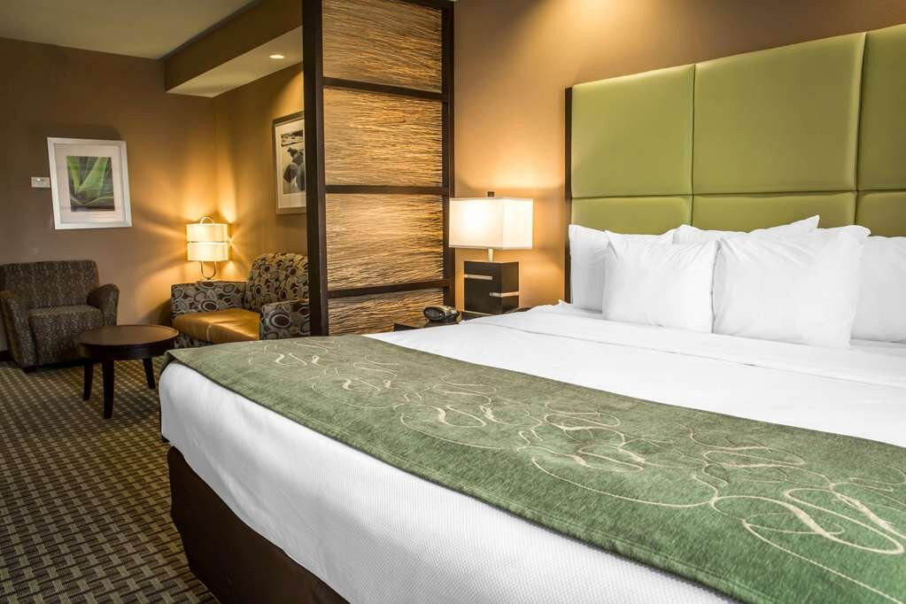 贝斯特韦斯特普勒斯河滨旅馆及套房酒店主图