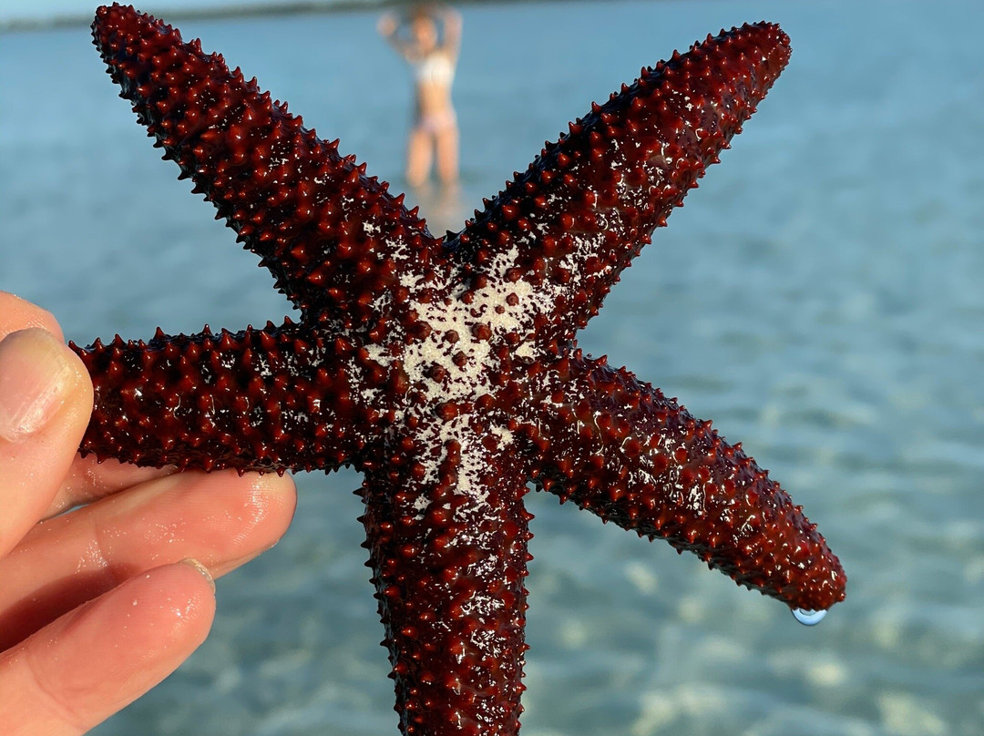 Paulie's Fishing Charters & Adventures景点图片