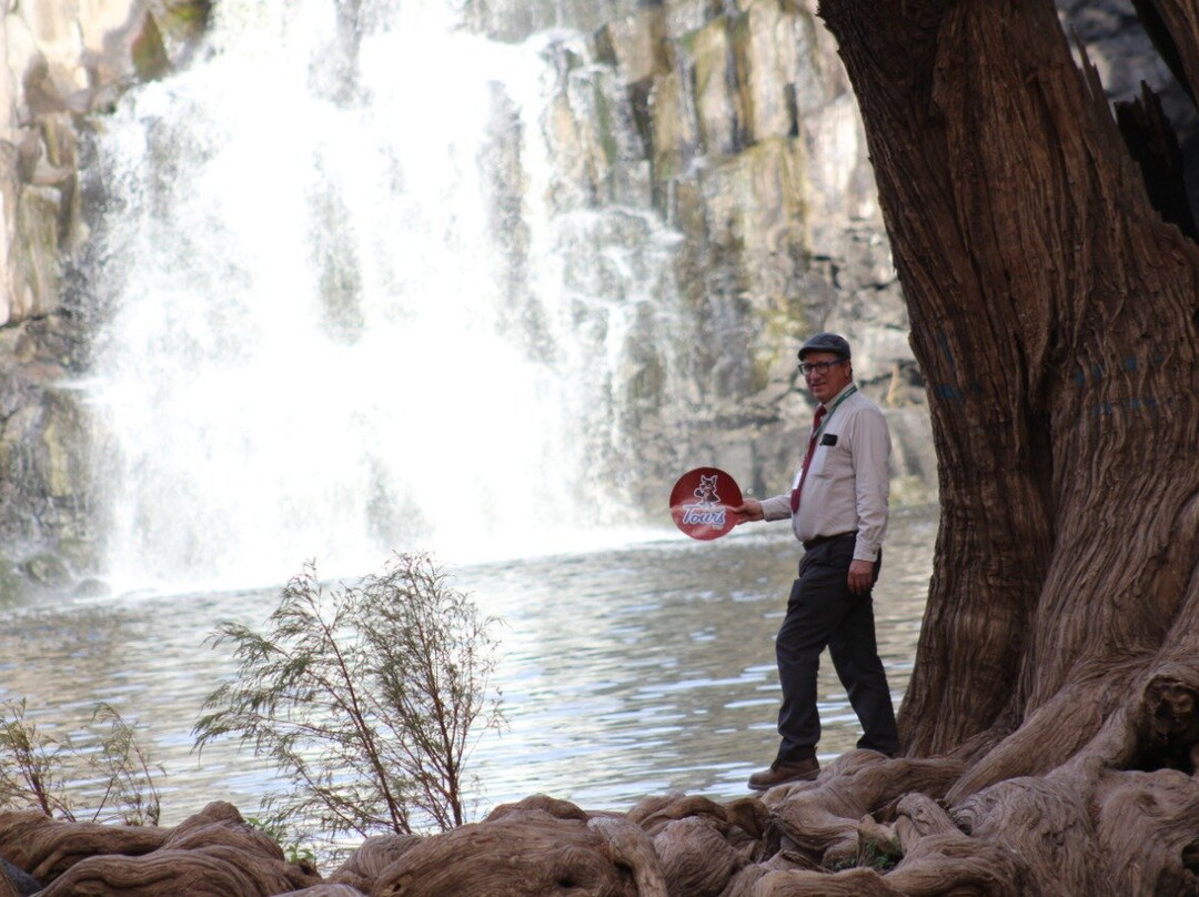 Coyote Tours VIP景点图片