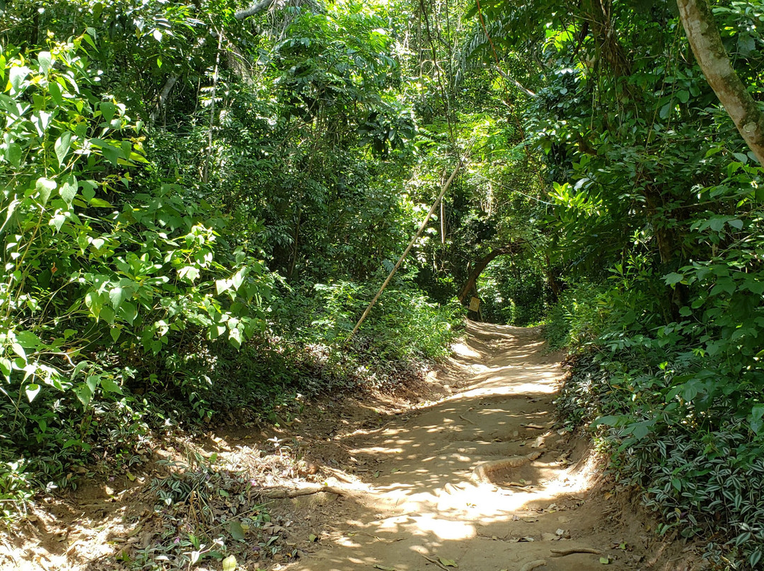 Morro das Andorinhas-尼泰罗伊必去景点