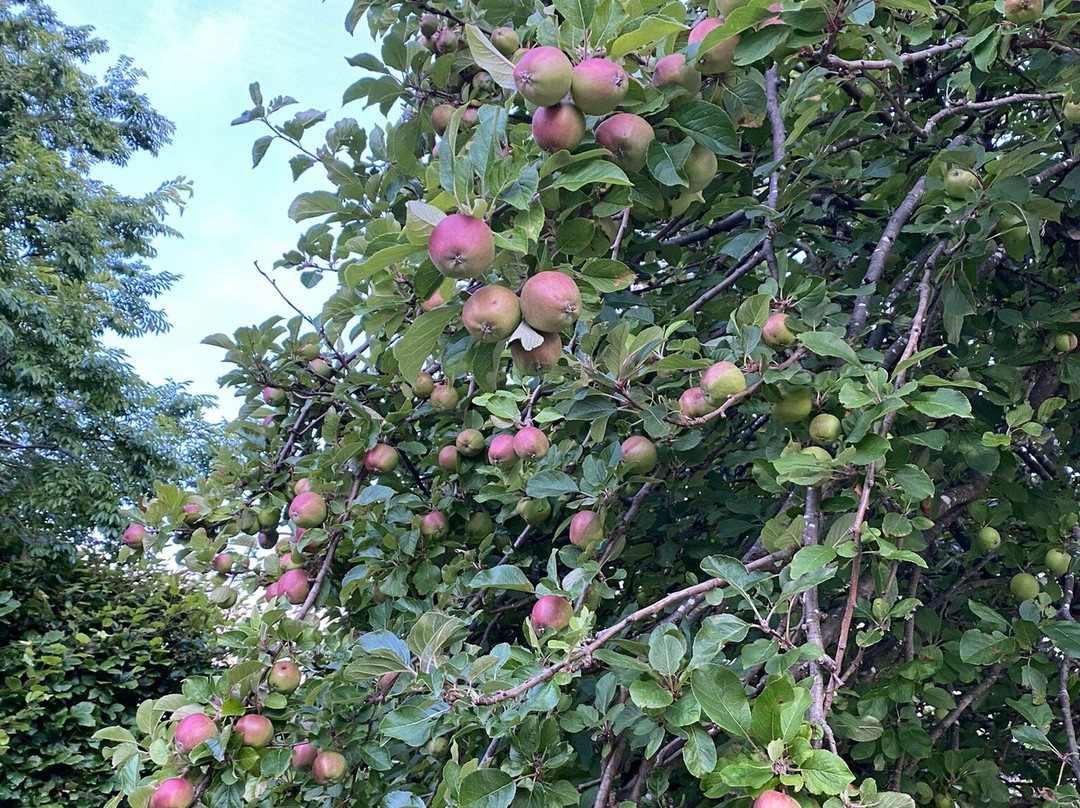 St Marys Hotel主图