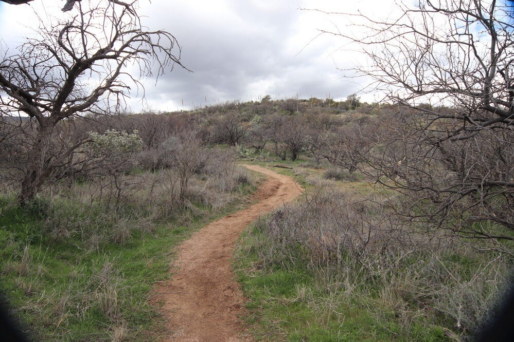 American Flag Ranch-Oracle必去景点
