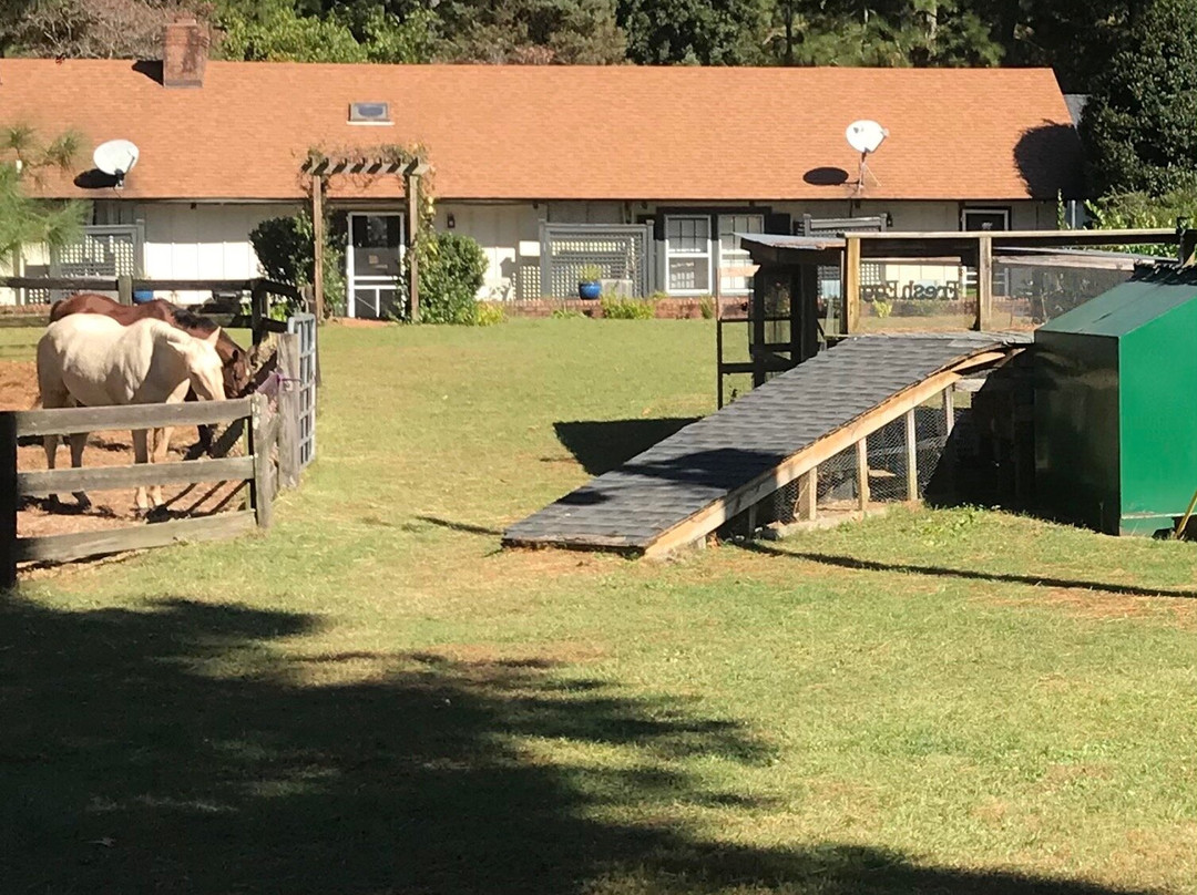 Tanglewood Farm Bed & Breakfast主图