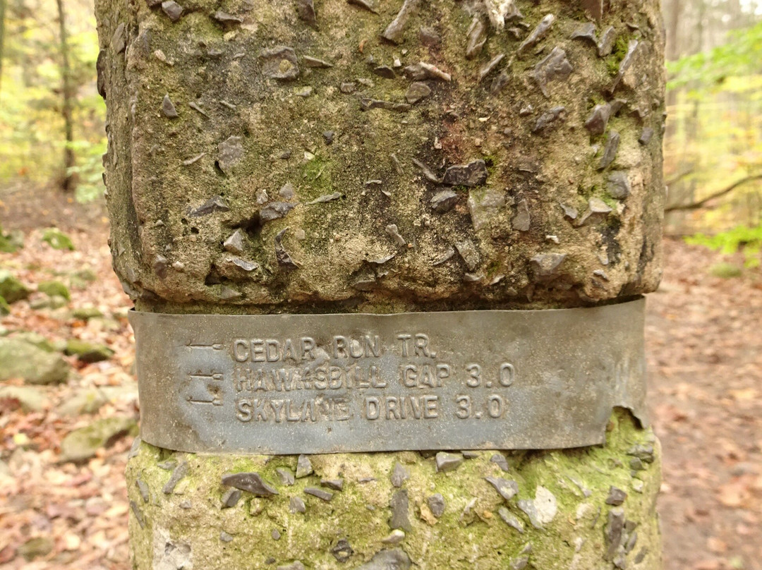 White Oak Canyon Trail-Syria必去景点