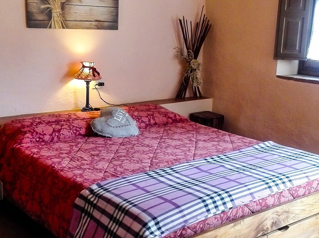 Agricola Pignano - l'agriturismo主图